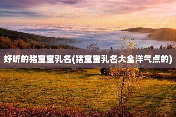 好听的猪宝宝乳名(猪宝宝乳名大全洋气点的)