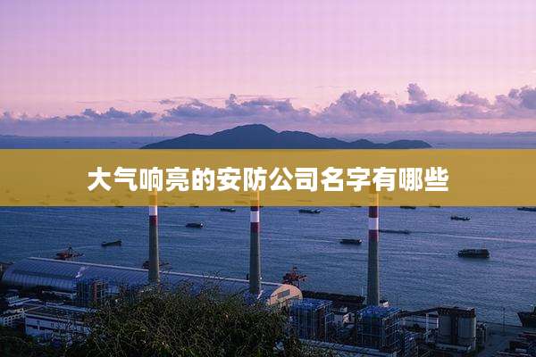大气响亮的安防公司名字有哪些