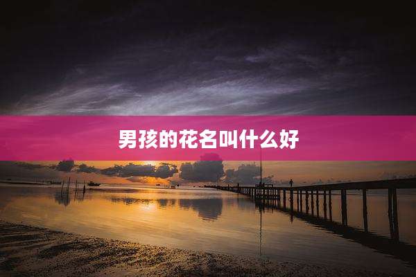 男孩的花名叫什么好