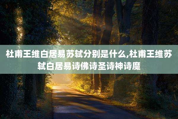 杜甫王维白居易苏轼分别是什么,杜甫王维苏轼白居易诗佛诗圣诗神诗魔