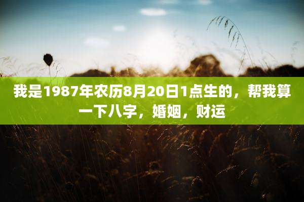 我是1987年农历8月20日1点生的，帮我算一下八字，婚姻，财运