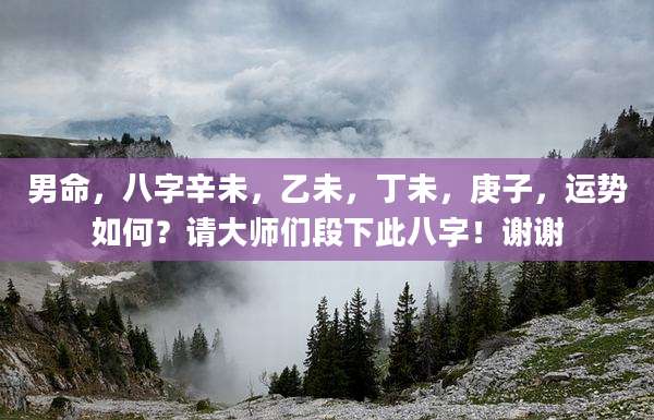 男命，八字辛未，乙未，丁未，庚子，运势如何？请大师们段下此八字！谢谢