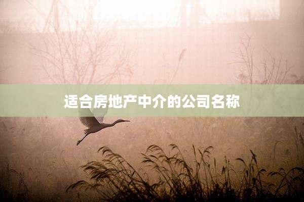 适合房地产中介的公司名称