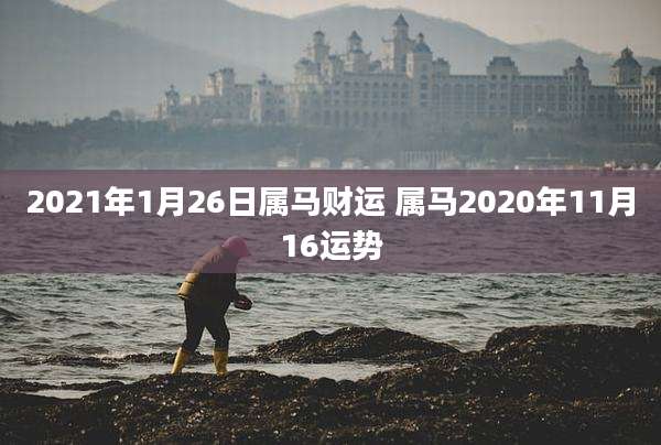 2021年1月26日属马财运 属马2020年11月16运势