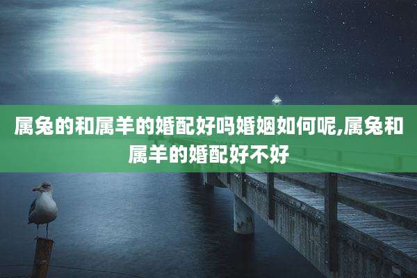 属兔的和属羊的婚配好吗婚姻如何呢,属兔和属羊的婚配好不好