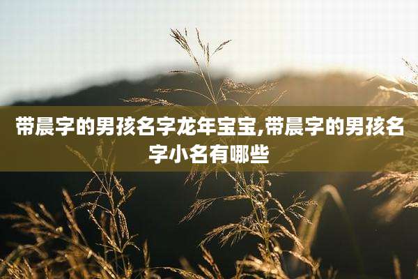 带晨字的男孩名字龙年宝宝,带晨字的男孩名字小名有哪些