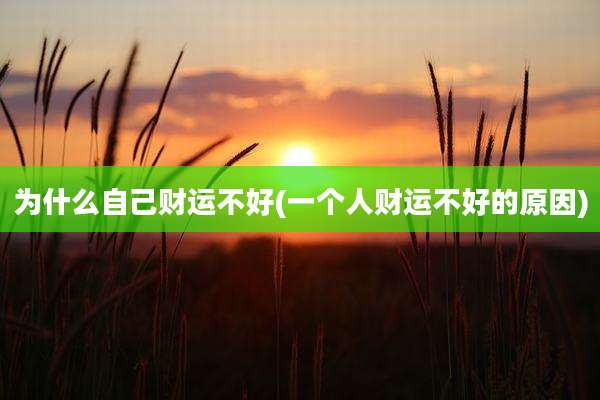 为什么自己财运不好(一个人财运不好的原因)