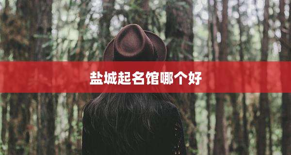 盐城起名馆哪个好
