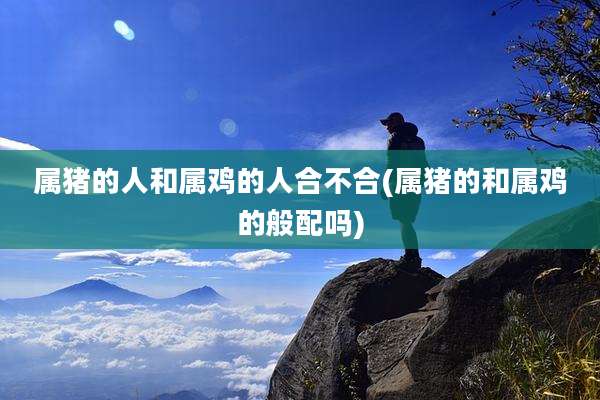 属猪的人和属鸡的人合不合(属猪的和属鸡的般配吗)