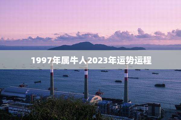 1997年属牛人2023年运势运程