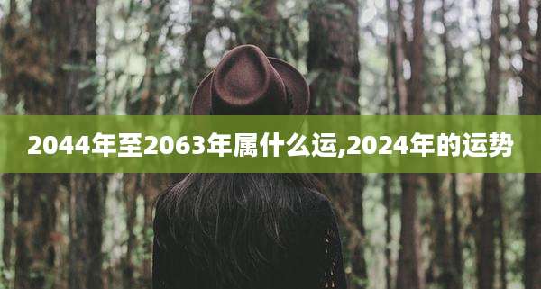 2044年至2063年属什么运,2024年的运势