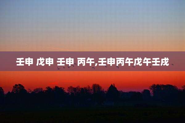 壬申 戊申 壬申 丙午,壬申丙午戊午壬戌