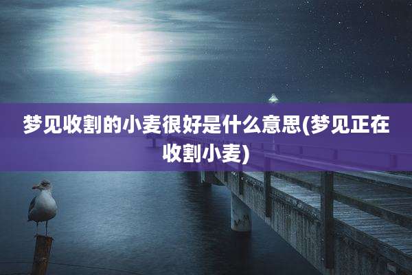 梦见收割的小麦很好是什么意思(梦见正在收割小麦)