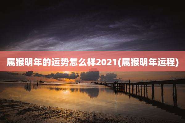 属猴明年的运势怎么样2021(属猴明年运程)