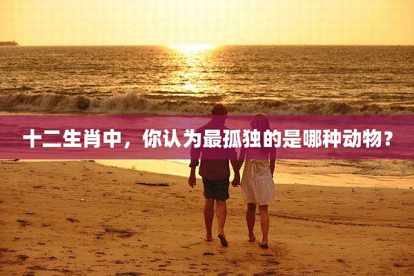 十二生肖中，你认为最孤独的是哪种动物？