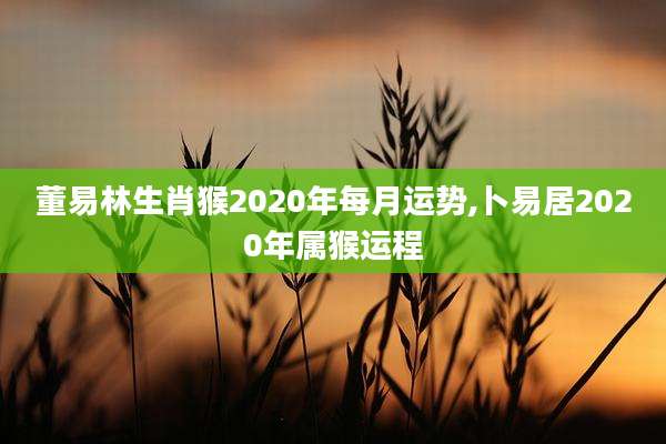 董易林生肖猴2020年每月运势,卜易居2020年属猴运程