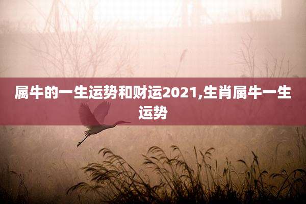 属牛的一生运势和财运2021,生肖属牛一生运势