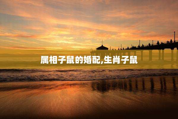属相子鼠的婚配,生肖子鼠