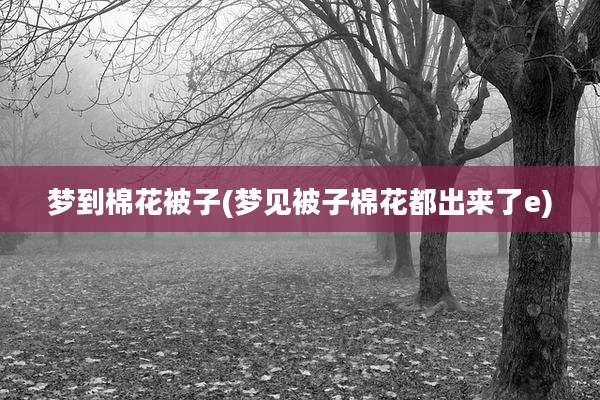 梦到棉花被子(梦见被子棉花都出来了e)