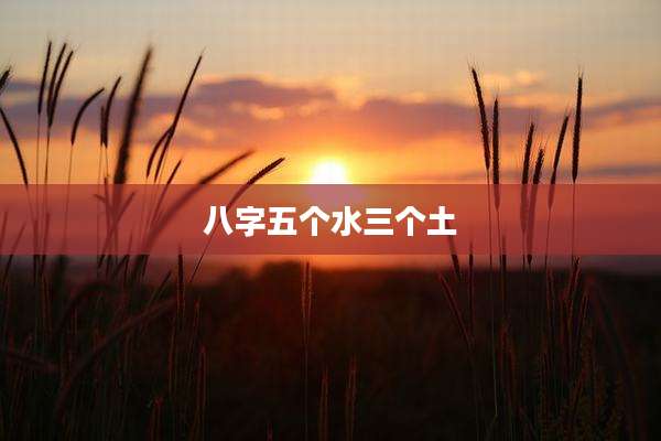 八字五个水三个土