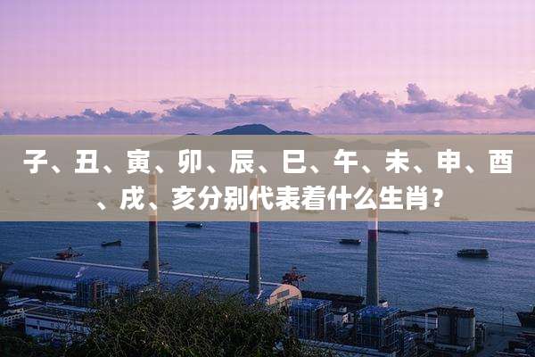 子、丑、寅、卯、辰、巳、午、未、申、酉、戌、亥分别代表着什么生肖?