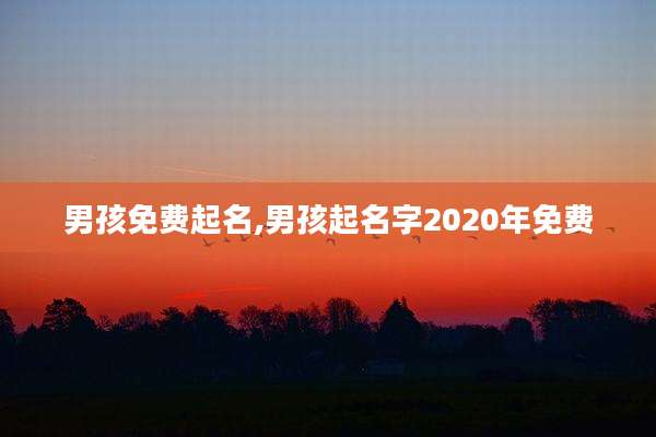 男孩免费起名,男孩起名字2020年免费