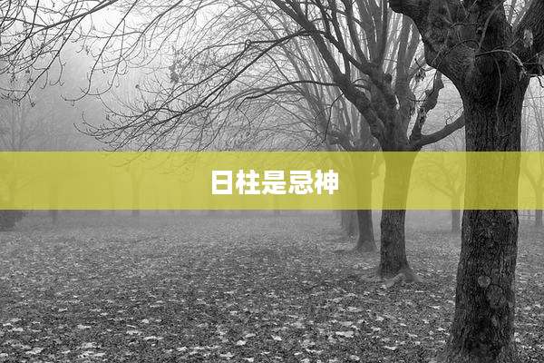 日柱是忌神