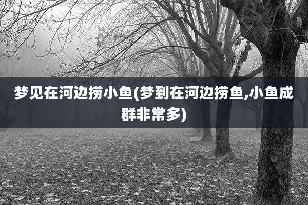 梦见在河边捞小鱼(梦到在河边捞鱼,小鱼成群非常多)