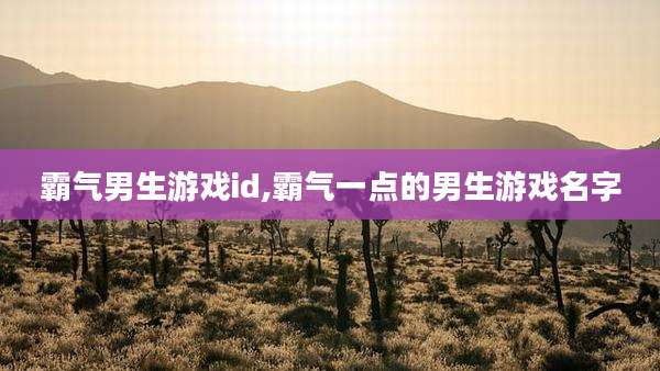 霸气男生游戏id,霸气一点的男生游戏名字