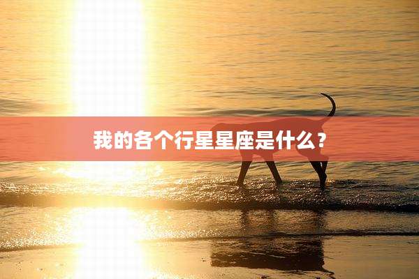 我的各个行星星座是什么?