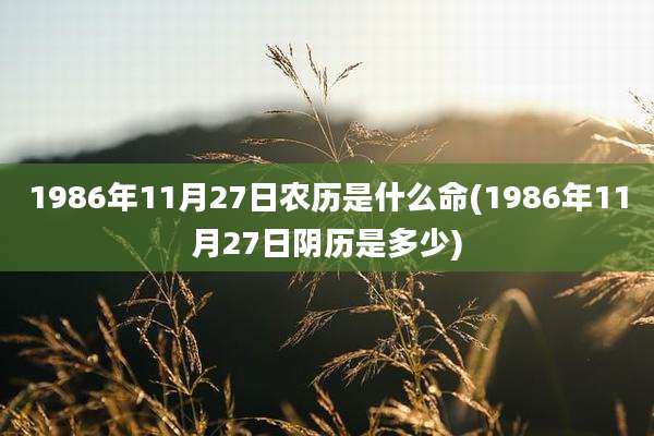 1986年11月27日农历是什么命(1986年11月27日阴历是多少)