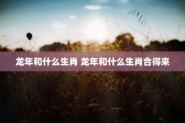 龙年和什么生肖 龙年和什么生肖合得来