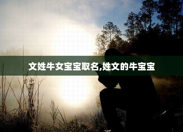 文姓牛女宝宝取名,姓文的牛宝宝