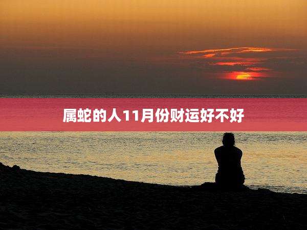 属蛇的人11月份财运好不好