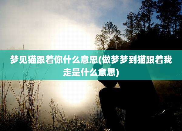 梦见猫跟着你什么意思(做梦梦到猫跟着我走是什么意思)