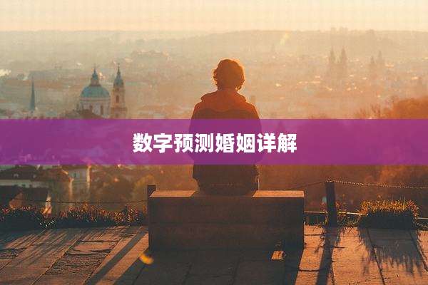 数字预测婚姻详解