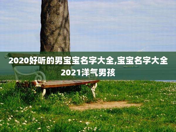 2020好听的男宝宝名字大全,宝宝名字大全2021洋气男孩