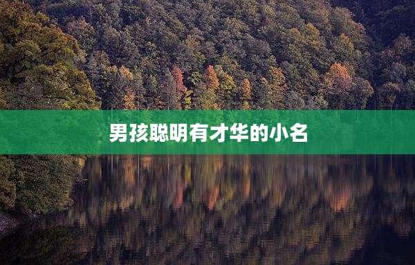 男孩聪明有才华的小名