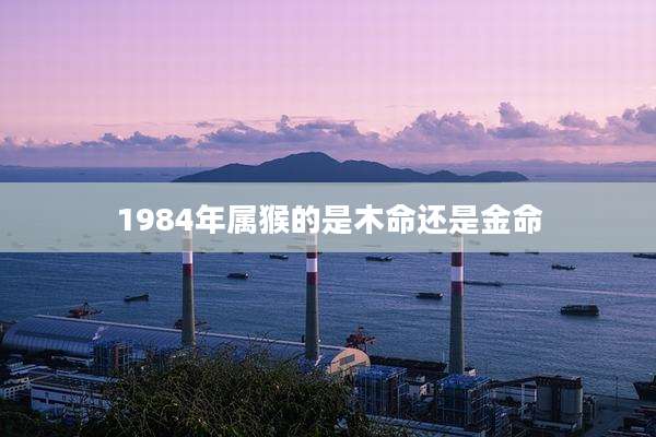 1984年属猴的是木命还是金命