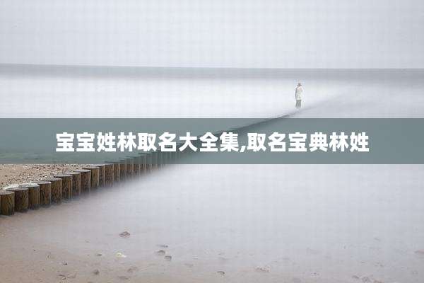 宝宝姓林取名大全集,取名宝典林姓