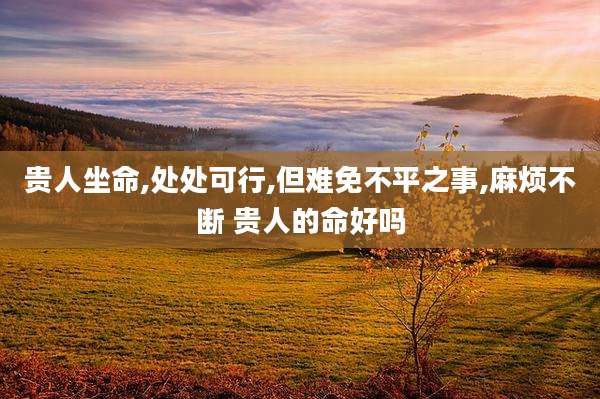 贵人坐命,处处可行,但难免不平之事,麻烦不断 贵人的命好吗