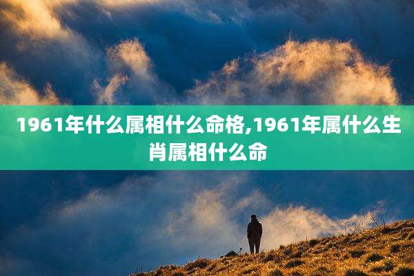 1961年什么属相什么命格,1961年属什么生肖属相什么命