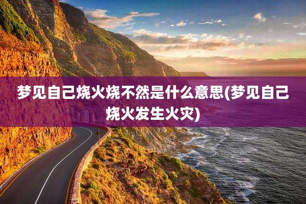 梦见自己烧火烧不然是什么意思(梦见自己烧火发生火灾)