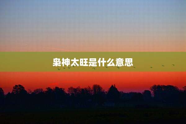 枭神太旺是什么意思