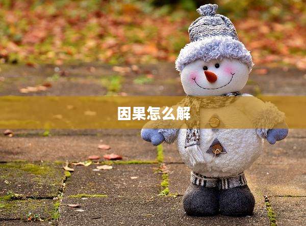 因果怎么解