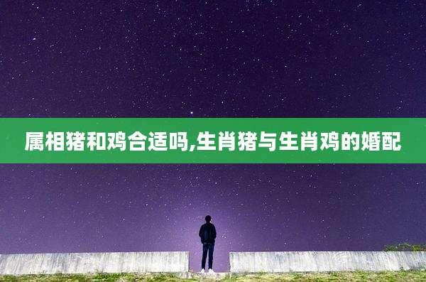 属相猪和鸡合适吗,生肖猪与生肖鸡的婚配