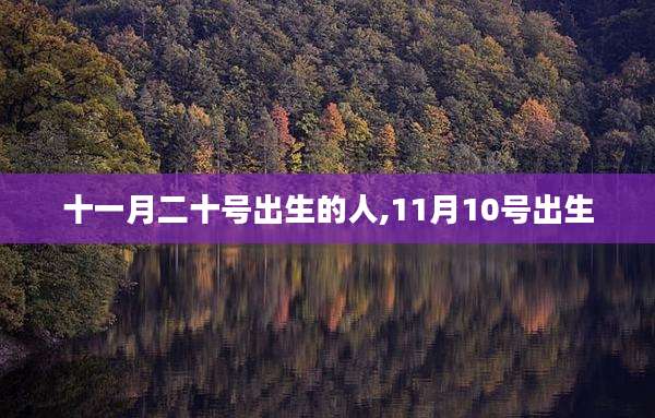 十一月二十号出生的人,11月10号出生