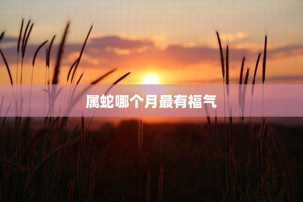 属蛇哪个月最有福气