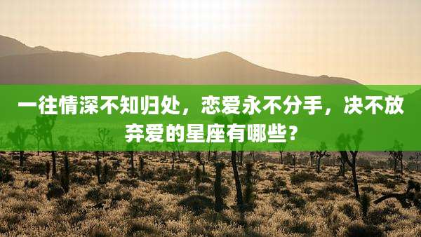 一往情深不知归处，恋爱永不分手，决不放弃爱的星座有哪些？