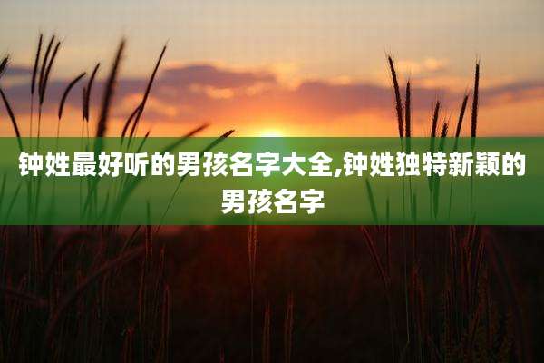 钟姓最好听的男孩名字大全,钟姓独特新颖的男孩名字